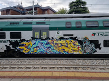 Carica l'immagine nel visualizzatore di Gallery, artwork creato da shek