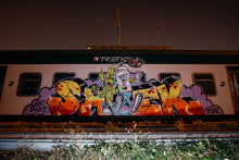 Carica l'immagine nel visualizzatore di Gallery, artwork creato da shek